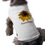 Girasol sereno ropa perro