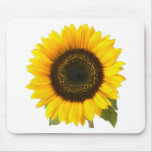 Girasol Tapete De Raton
