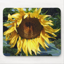 Girasol Tapetes De Ratón