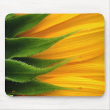 Girasol Tapetes De Ratones