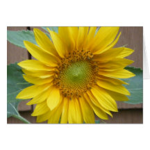 "Girasol " Tarjeta
