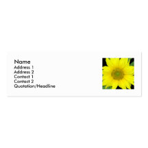 girasol tarjeta de negocio
