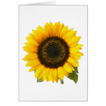 Girasol Tarjeton