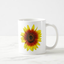 girasol tazas de café