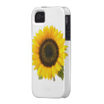 Girasol Vibe iPhone 4 Carcasa