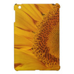 Girasol y significado