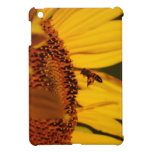 Girasol y significado