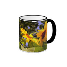 Girasoles 2 del verano tazas
