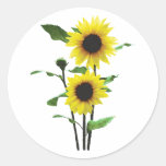 Girasoles altos y cortos pegatina
