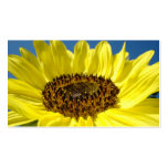 Girasoles de encargo florales de las tarjetas de v