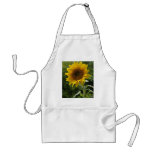 Girasoles en campo delantales