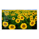 Girasoles en Fargo, Dakota del Norte Tarjetas De Visita