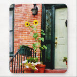 Girasoles en Stoop Alfombrillas De Raton