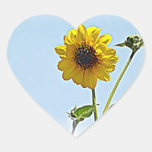 Girasoles Etiqueta