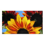 Girasoles florales tarjetas personales