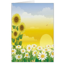 Girasoles, flores blancas, Sun, Tarjeton