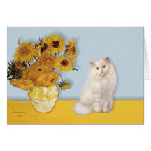 Girasoles - gato persa blanco felicitación