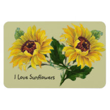 Girasoles Iman