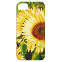 Girasoles - la flor para un 3ro aniversario iPhone 5 Case-Mate cárcasas