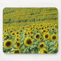 Girasoles Mousepad Tapetes De Ratón