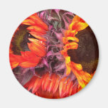 GIRASOLES ROJOS IMAN PARA FRIGORÍFICO