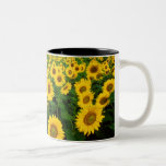 Girasoles Tazas De Café