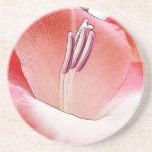 Gladiola rosado delicado posavasos manualidades