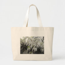 Glicinias blancas bolsa