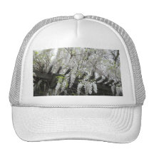 Glicinias blancas gorras