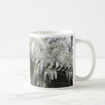 Glicinias blancas taza