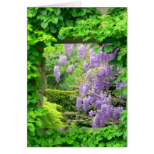 Glicinias de la lavanda, hiedra y ventana (Photog) Tarjeton