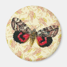 Glicinias rosadas de Buterfly Imán Para Frigorífico