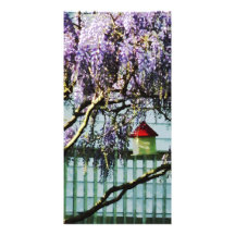 Glicinias y Birdhouse Tarjeta Fotográfica Personalizada