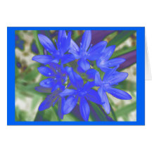 Gloria de la tarjeta de felicitación azul fluoresc
