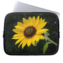 Gloria del girasol mangas portátiles