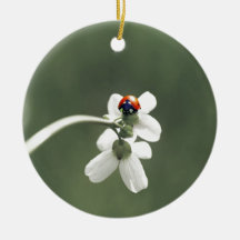 Glücksbringer auf der Blumenwiese Ornament
