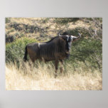 Gnu Posters