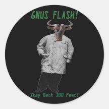 GNUS FLASH-_-Steer claro de los GNUS el inclinarse Pegatina
