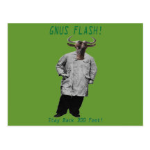 GNUS FLASH-_-Steer claro de los GNUS el inclinarse Postales