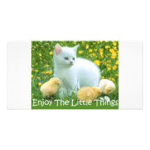 Goce de los animales lindos de las pequeñas cosas tarjetas fotográficas personalizadas