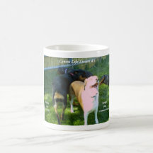 Goce de su taza de la diversidad