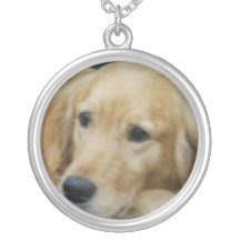 golden-retriever-45.jpg grimpola personalizada