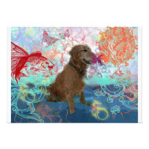 Golden retriever comunicado personal  