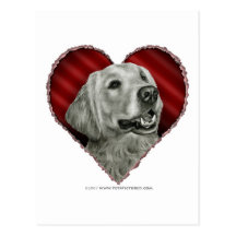 Golden retriever con el corazón tarjeta postal
