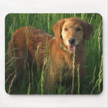 Golden retriever Maia en la hierba Mousepad