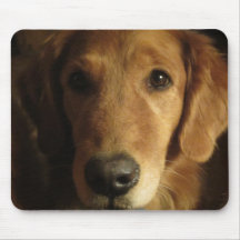 Golden retriever Maia para arriba Mousepad cercano