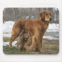 Golden retriever Maia y perritos Mousepad