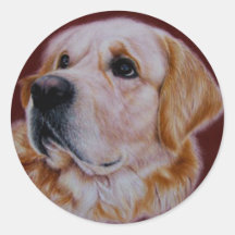 Golden retriever pegatinas  