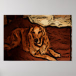 Golden retriever que pinta el poster