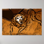 Golden retriever que pinta el poster